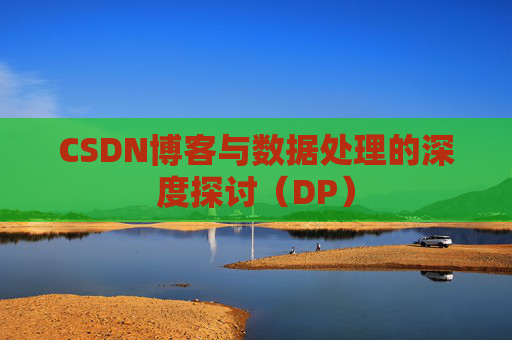 CSDN博客与数据处理的深度探讨（DP）